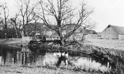 085 0009 Miguschen der Gutsteich