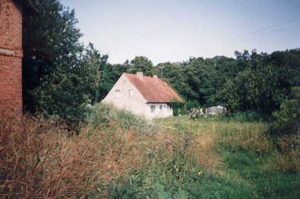 085 1003 Miguschen Sommer 1991 Insthaus vom Gut Koppetsch