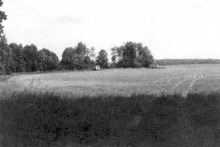 085 1004 Rockeimswalde 1992 Bienenstaende an der Lindenallee Foto Doepke