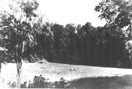 086 0014 Ein Teil des Parkes des Gutshauses