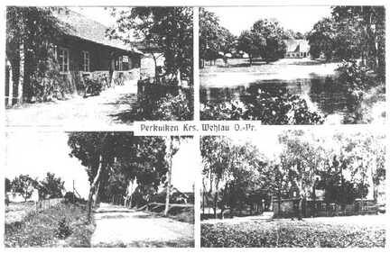 086 0020 Alte Postkarte von Roddau Perkuiken