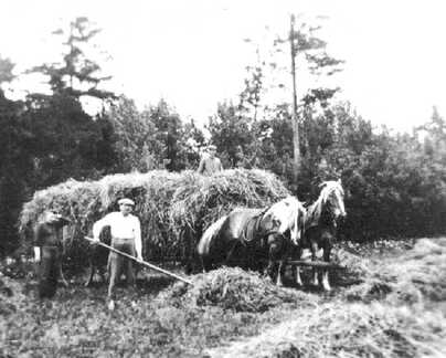 086 0035 Heuernte auf den Wiesen von Landwirt Gustav Weinz