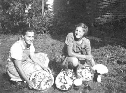 087 0008 Die gesammelten Champignons eines Morgenspazierganges ueber die Weiden Helene Stoermer mit ihrem Ferienkind