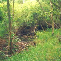 Rosenfelde nach 1945