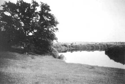 089 0004 Blick vom Schloss auf die Pregelwiesen