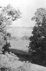 089 0007 Blick vom Schloss auf die Pregelwiesen im Hintergrund