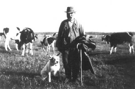 089 0018 Der Viehhirte Ferdinand Hoffmeister mit seiner Herde beim Vorwerk Zargen Sanditten