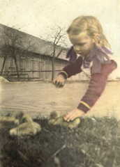 091 0031 Beate beim Gaensenachwuchs im Mai 1944 in Schenken Gehoeft Otto Samland