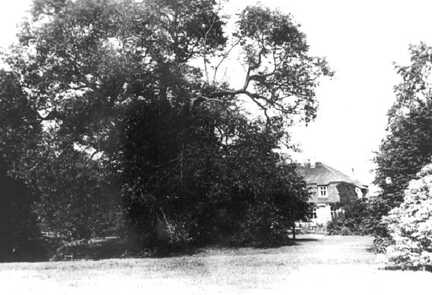092 0026 Ortsteil Popehnen Blick aus dem Garten zum Gutshaus