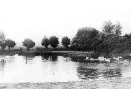 092 0032 Ortsteil Popehnen der Teich hinter dem Kuhstall auf dem Gut