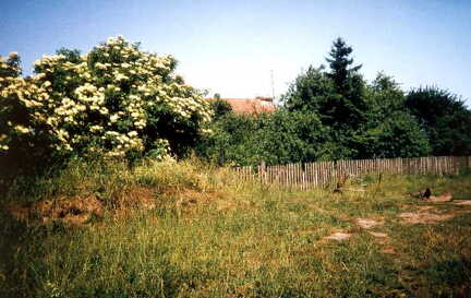096 1002 Blick auf das Anwesen von Buergermeister Ivon im Jahre 1992