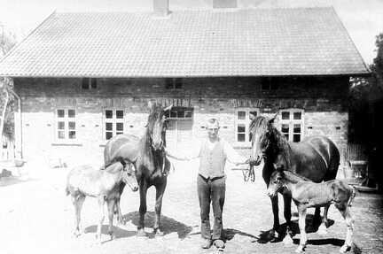 097 0019 Auf dem Bauernhof von Albert Hofer