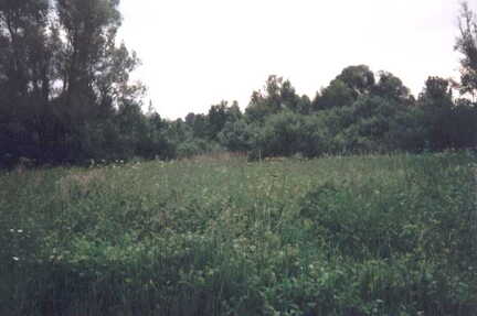 098 1001 Sommer 1999 hier stand das Insthaus von Bauer Mueller in dem die Familie Rudolf Krause wohnte