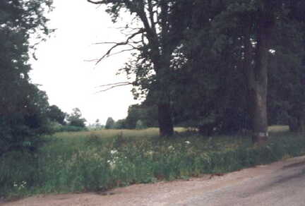 098 1003 Sommer 1999 der Strassenverlauf in Richtung Wehlau links davon stand das Sielacker Spritzenhaus