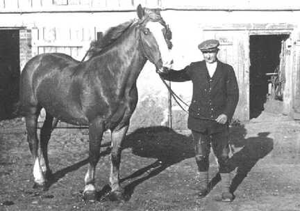 099 0013 Karl Rosenwald 1937 mit seinem Pferd Hans auf seinem Hof in Skaten