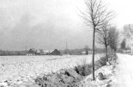099 0014 Skaten im Winter Blick auf den Hof Wowries