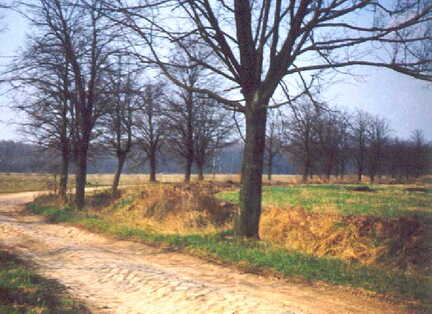 099 1004 Skaten 1992 Hier stand der Hof Wowries Es gibt keinen Stein mehr der an den Hof erinnert
