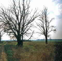 099 1012 Skaten 1992 Hier war die Auffahrt zum Hof Koske