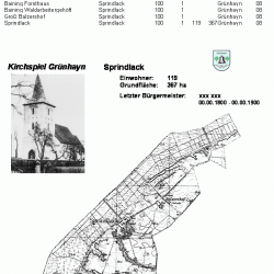 Sprindlack 100