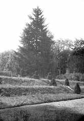 100 0013 Der Park des Gutes Sprindlack