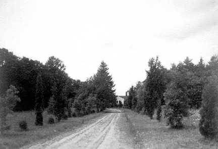 100 0018 Die Auffahrt des Gutes Sprindlack mit Blick auf das Gutshaus