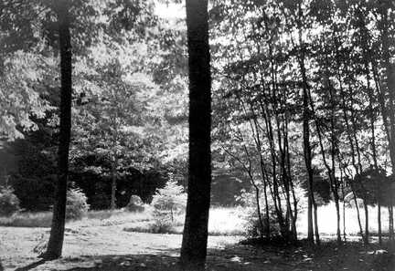 100 0019 Der Park des Gutes Sprindlack