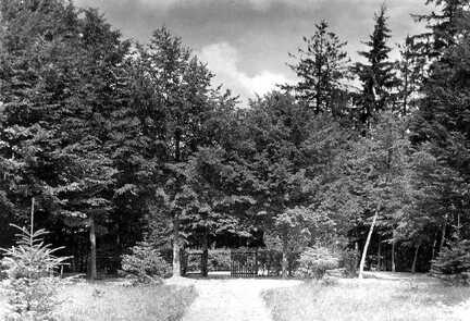 100 0020 Der Park des Gutes Sprindlack