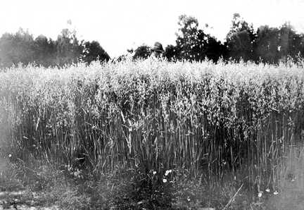 100 0024 Der Landwirt und Jaeger Christian Coelle