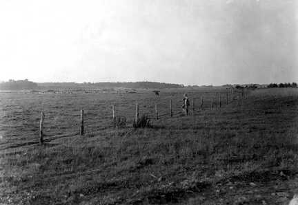 100 0038 Blick ueber die Viehweiden