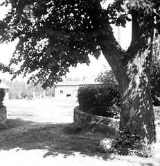 100 0047 Blick auf den Gutshof