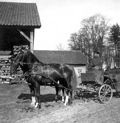 100 0053 Die Kutsche