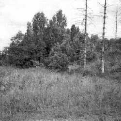 Sprindlack nach 1945