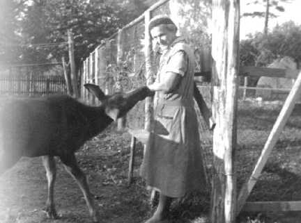 102 0019 Frau Liddy Grassmann geb Knoche im Jungelchgehege der Foersterei Stampelken