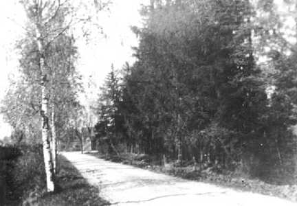103 0024 Die Auffahrt zum Gutshaus