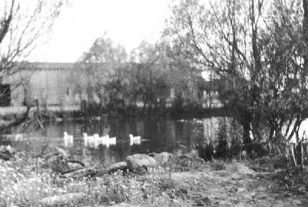 103 0025 Der Hofteich mit Pferdeschwemme Im Hintergrund die Scheune