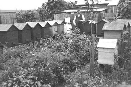 103 0028 Stellmacher H Bewernick aus Starkenberg mit seiner Frau Johanna bei den Bienenstoecken