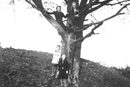 103 0038 Vier Freundinnen auf ihrem Baum an der Gilge