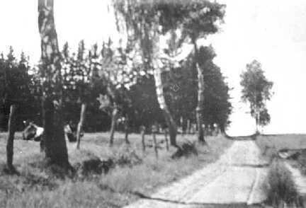 103 0044 Blick auf den neuen Friedhof