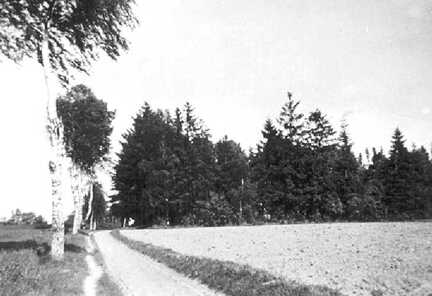 103 0046 Das Ackerstueck rechts nannte sich Veilchenberg Hier wurden in den dreissiger Jahren drei Siedlungshaeuser gebaut