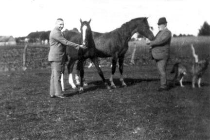 104 0011 Grossvater Julius Smelkus mit seinem Sohn Georg und zwei wunderschoenen Pferden
