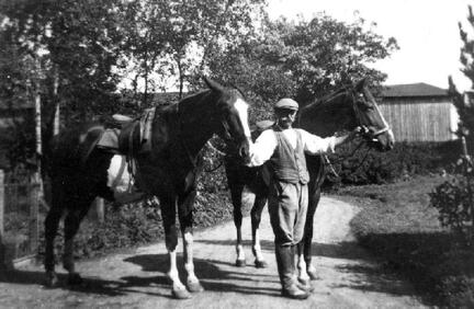 104 0014 Kutscher Gustav Wanning mit zwei Smelkus Pferden 1932