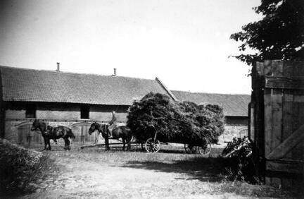 104 0015 Stobingen im August 1938 Vor dem Pferdestall