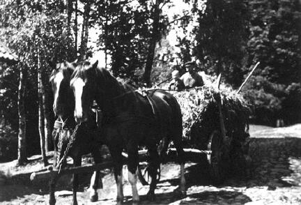 104 0023 Ein Gespann von Smelkus Auf dem Wagen Gustav Wanning und Christian Smelkus