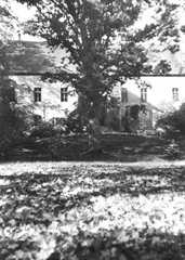 106 0009 Die alte Eiche im Garten vor dem Gutshaus