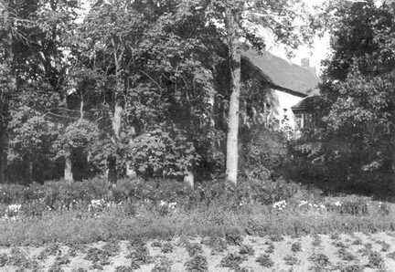 106 0015 Der Garten hinter der Burg Taplacken