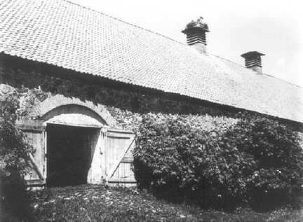 106 0019 Der grosse Kuhstall des Gutes