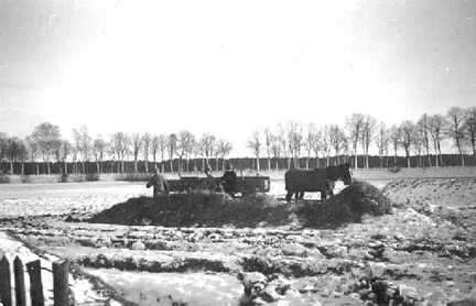 106 0037 An der Ruebenmiete auf der Hofstelle Franz Adomeit Im Hintergrund die Baeume der Reichsstrasse 1