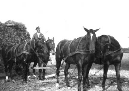106 0055 Ein Erntegespann in Taplacken