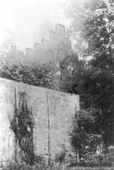 106 0060 Burgmauer mit Kletterrosen