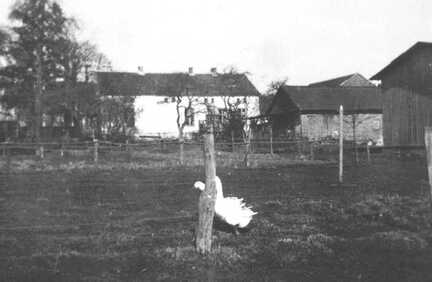 109 0004 Der Hof Schroeder mit den Stallungen Rueckansicht